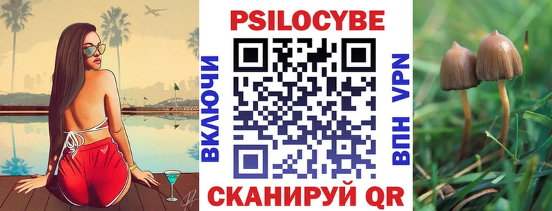 Псилоцибиновые грибы мухоморы  Электрогорск 