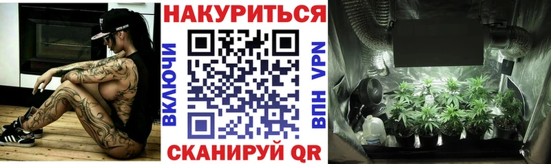 Канабис план Электрогорск